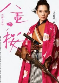 韓劇DVD專賣店 正品八重之櫻/八重櫻dvd