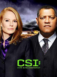 韓劇DVD專賣店 正品CSI犯罪現場/滅罪鑒證科第十一季 CSI: Crime Scene InvestigationCSI: Las Vegasdvd
