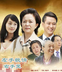 韓劇DVD專賣店 正品左手親情右手愛dvd