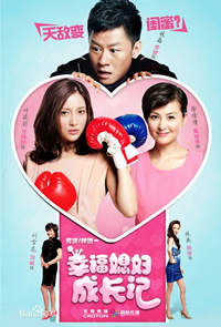 韓劇DVD專賣店 正品幸福媳婦成長記dvd