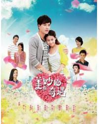 韓劇DVD專賣店 正品美妙的情緣/美妙的奇遇情緣/美妙的春天秋天/美妙的奇遇dvd
