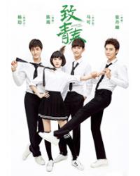 韓劇DVD專賣店 正品致我們終將逝去的青春（電視版）/致青春電視版dvd