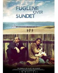 韓劇DVD專賣店 正品轟鳴中的鳥兒 Fuglene Over Sundetdvd