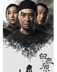 韓劇DVD專賣店 正品白鹿原（電視劇版）dvd