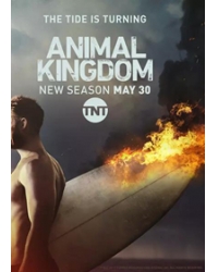 韓劇DVD專賣店 正品野獸家族/動物王國第二季 Animal Kingdomdvd