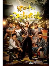 韓劇DVD專賣店 正品果欄中的江湖大嫂dvd